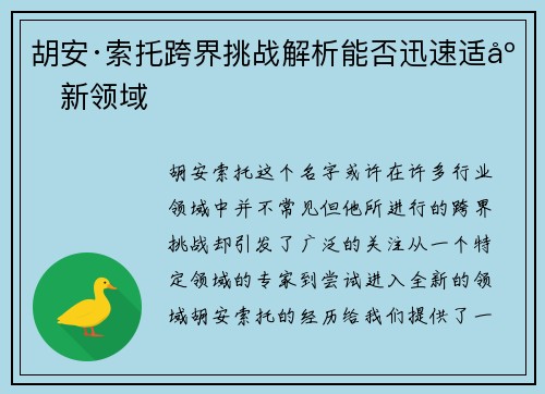 胡安·索托跨界挑战解析能否迅速适应新领域