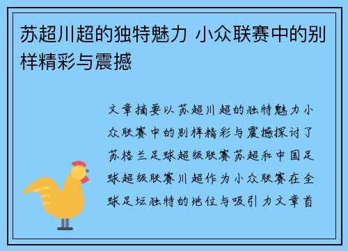 苏超川超的独特魅力 小众联赛中的别样精彩与震撼